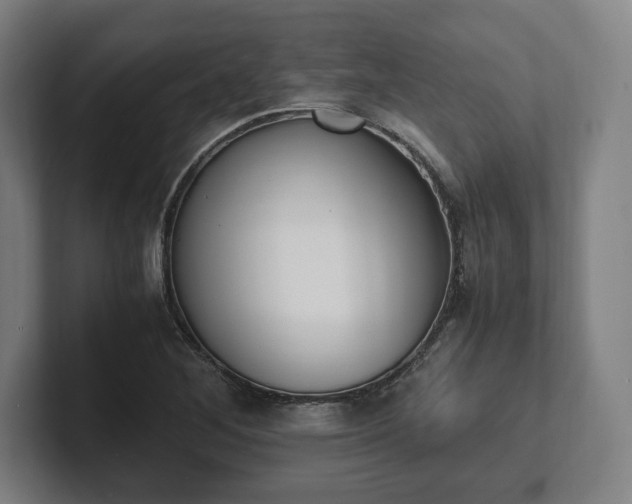 X0000101991268200807251219