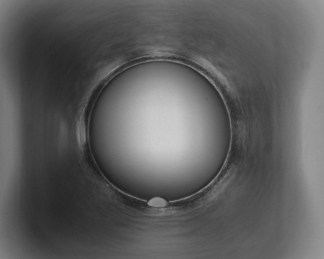 X0000101991269200807251219