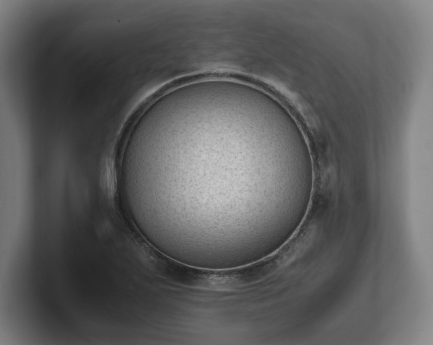 X0000101991271200807251219