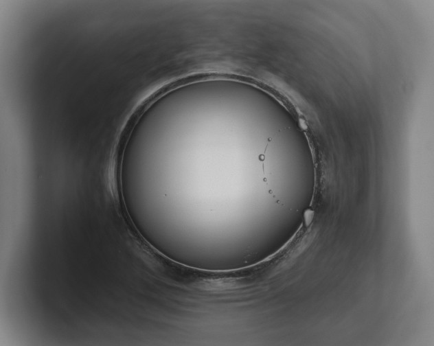X0000101991272200807251219
