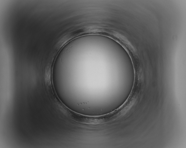 X0000101991273200807251219