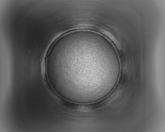 X0000101991275200807251219