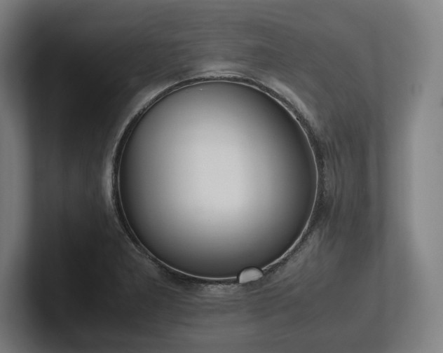 X0000101991277200807251218