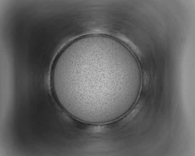 X0000101991278200807251218