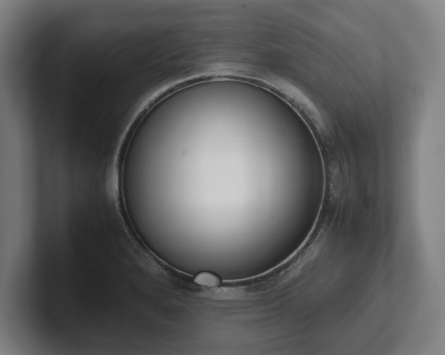 X0000101991280200807251218