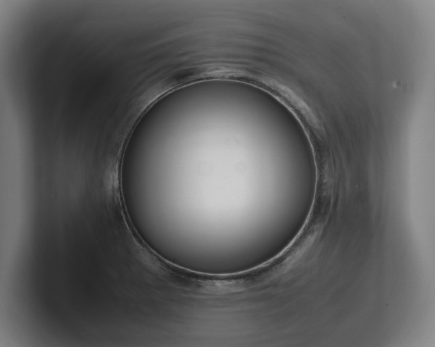 X0000101991281200807251218