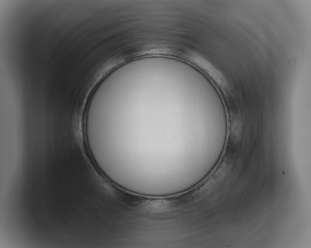 X0000101991282200807251218