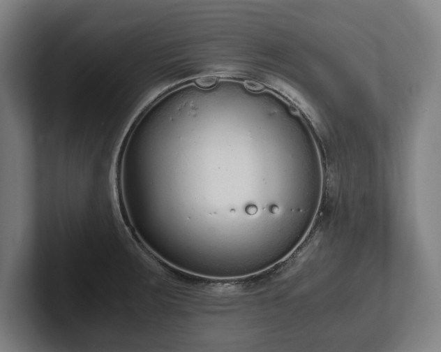 X0000101991283200807251218