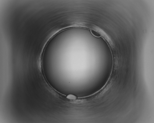 X0000101991284200807251218