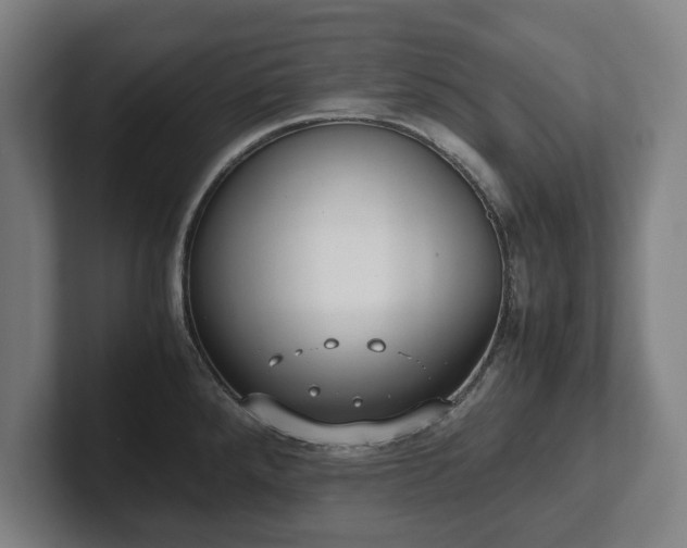 X0000101991288200807251218