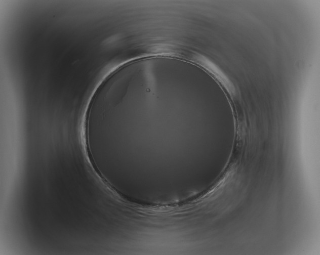 X0000101991291200807251218