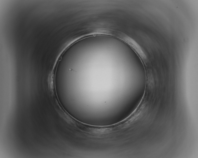 X0000101991292200807251218