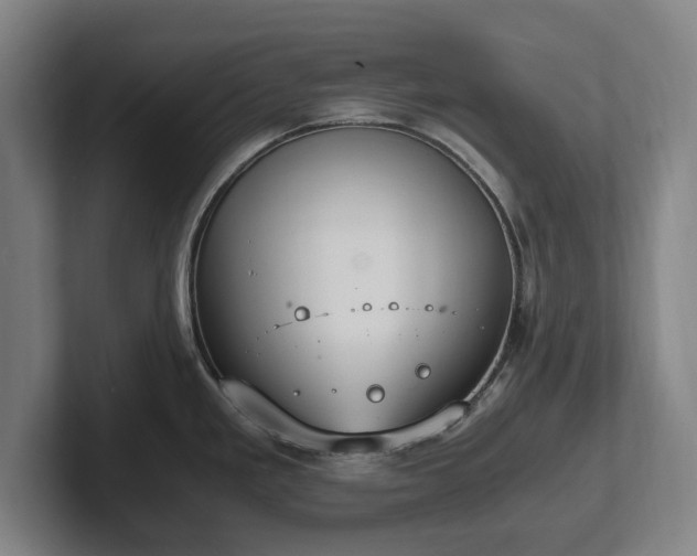 X0000101991293200807251218