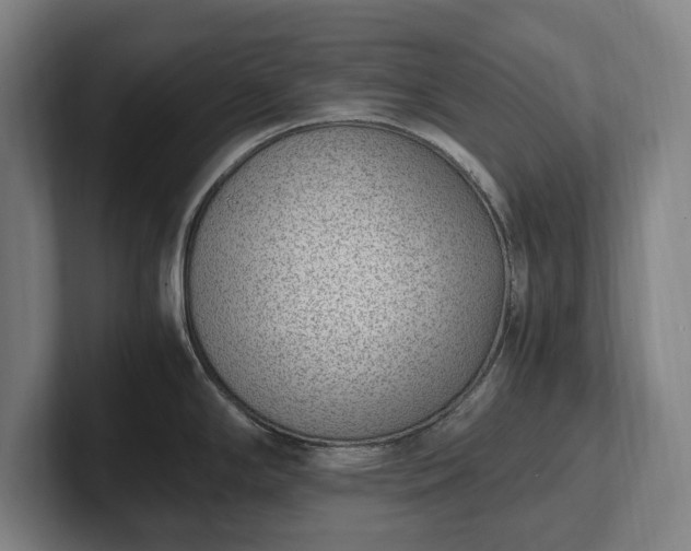 X0000101991294200807251218