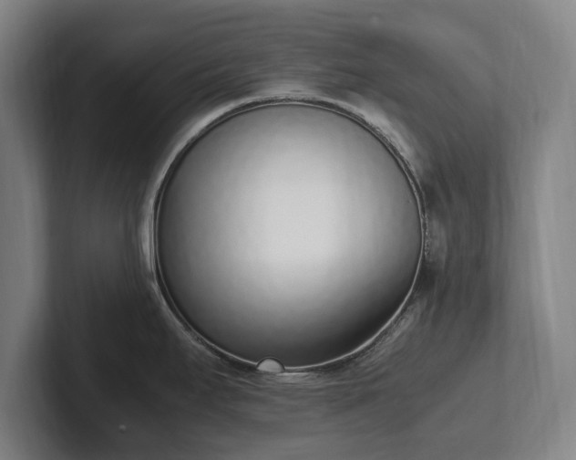 X0000101991295200807251218
