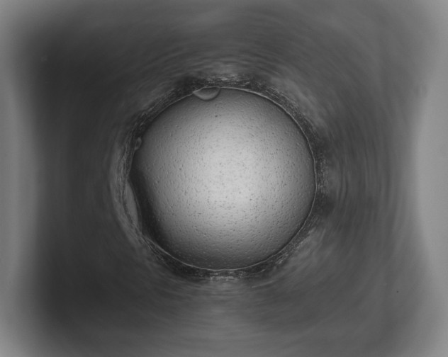 X0000101991297200807251218