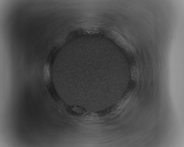 X0000101991298200807251218
