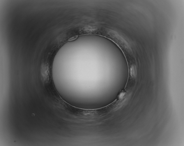 X0000101991299200807251218