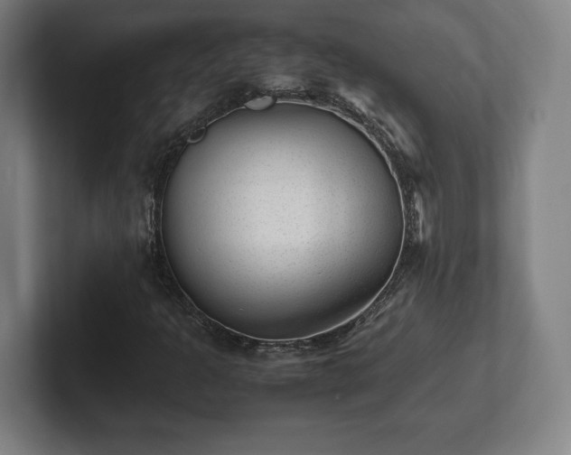 X0000101991301200807251218