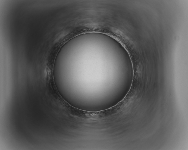 X0000101991302200807251218
