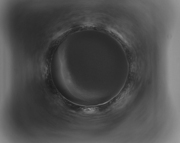 X0000101991303200807251218