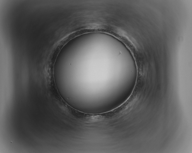 X0000101991304200807251218