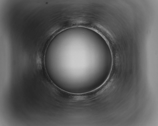 X0000101991305200807251218