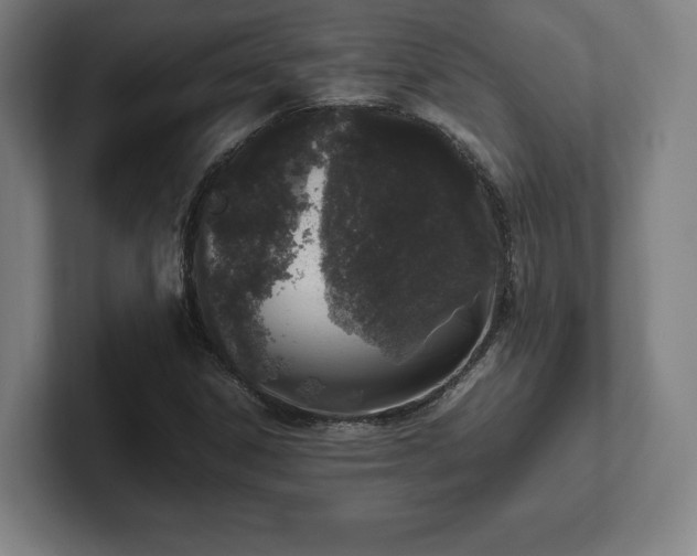 X0000101991306200807251218