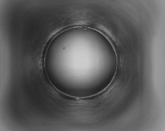 X0000101991308200807251218