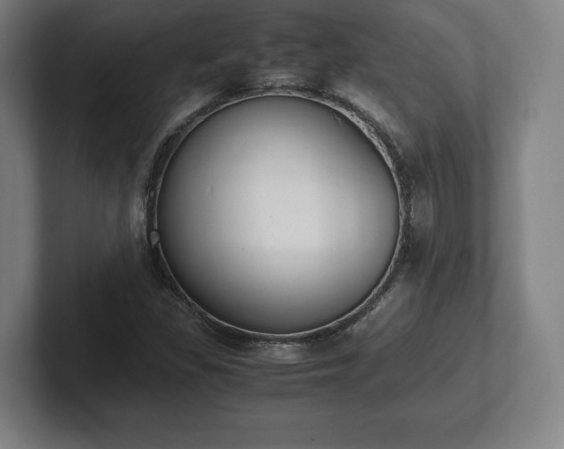 X0000101991309200807251218