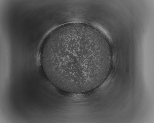 X0000101991310200807251218