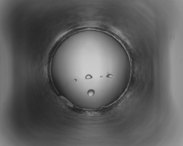 X0000101991312200807251218