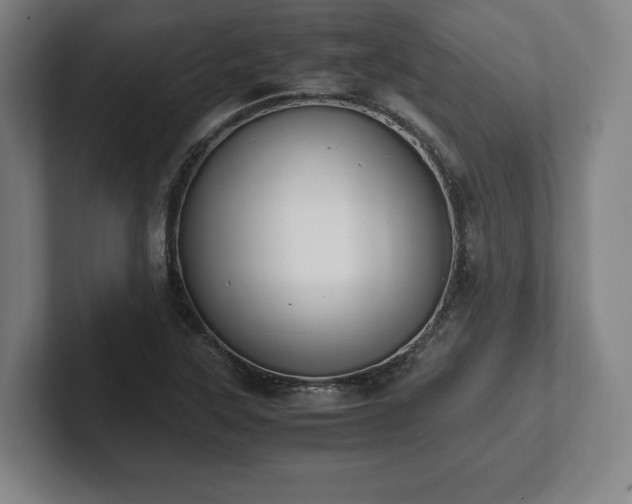 X0000101991315200807251218