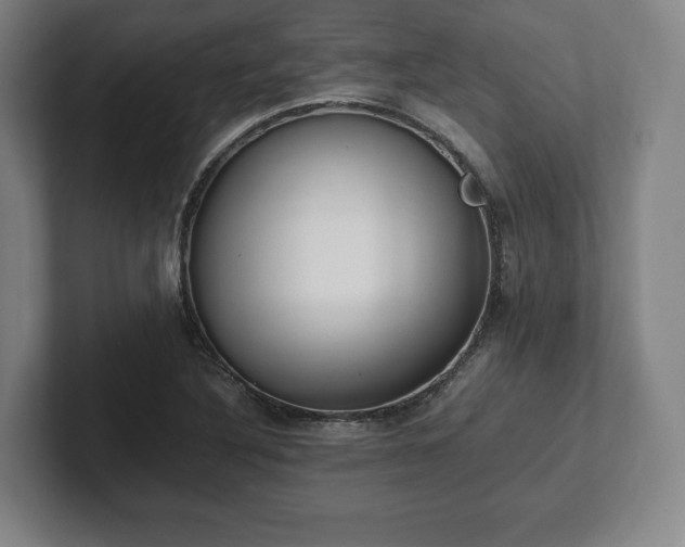 X0000101991316200807251218