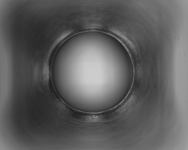 X0000101991317200807251218