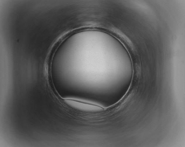 X0000101991318200807251218