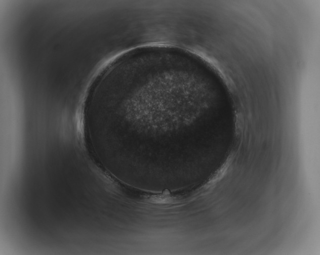 X0000101991319200807251218