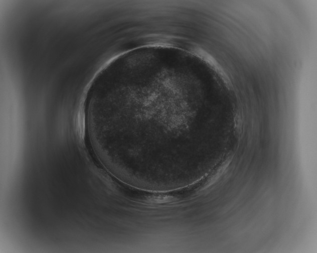 X0000101991323200807251218