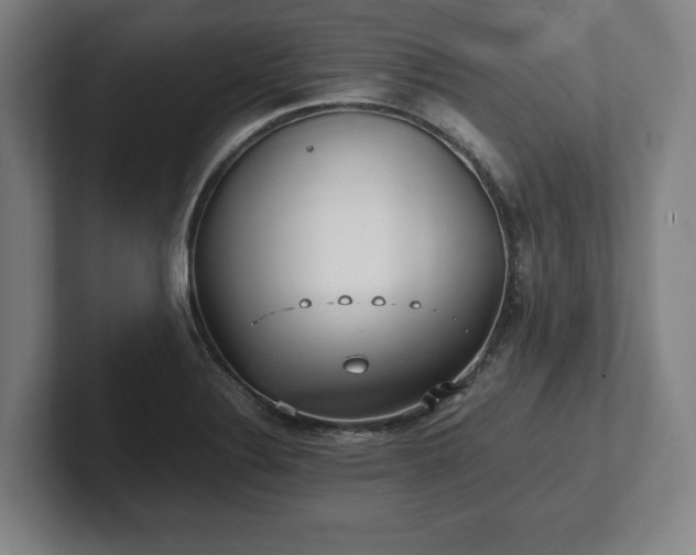 X0000101991324200807251218