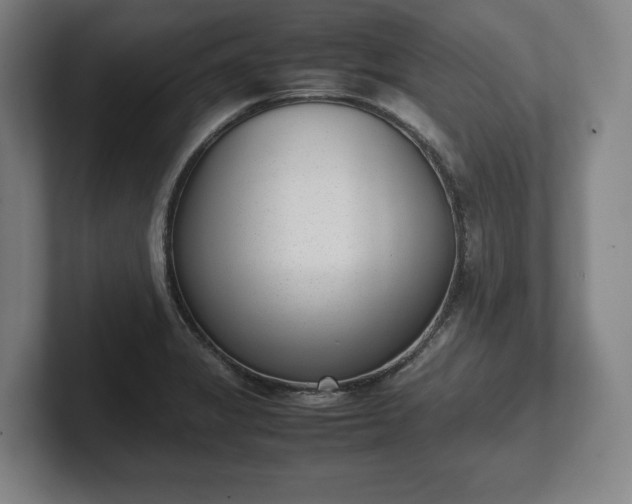 X0000101991325200807251218