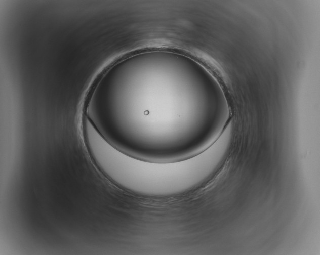 X0000101991326200807251218