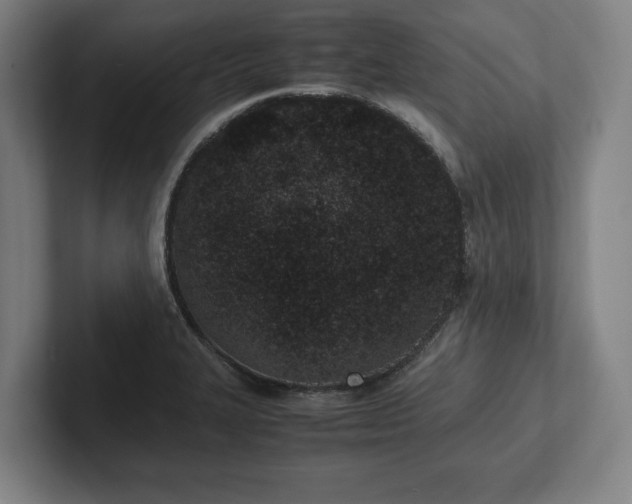 X0000101991327200807251218