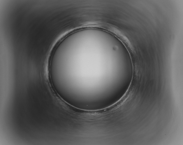 X0000101991328200807251218