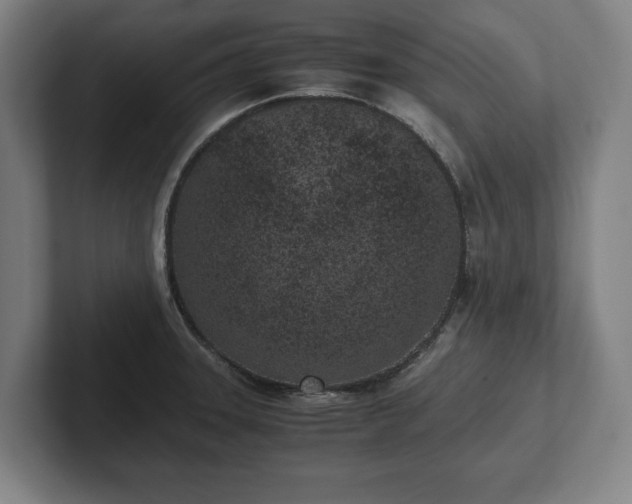 X0000101991331200807251218