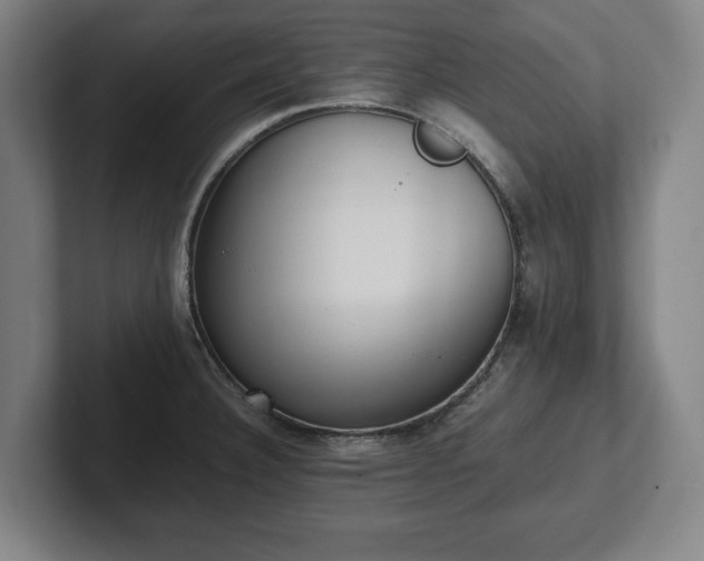X0000101991332200807251218