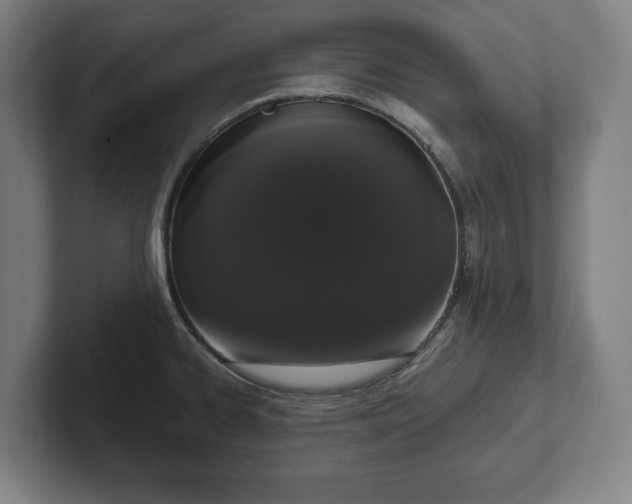 X0000101991334200807251218