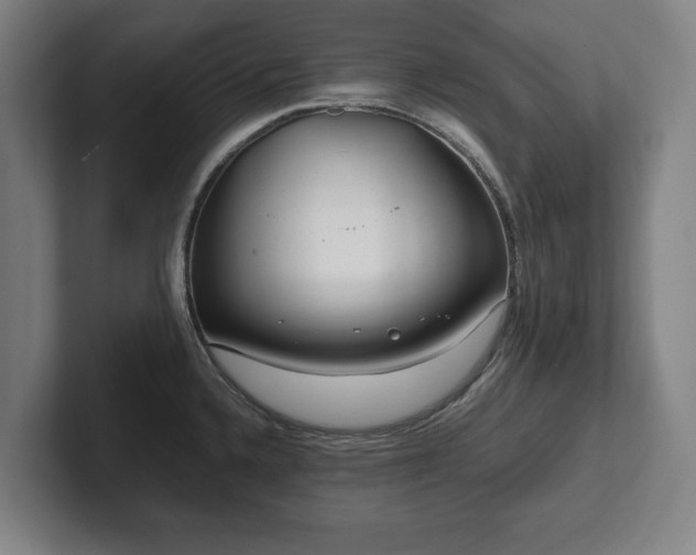 X0000101991336200807251218
