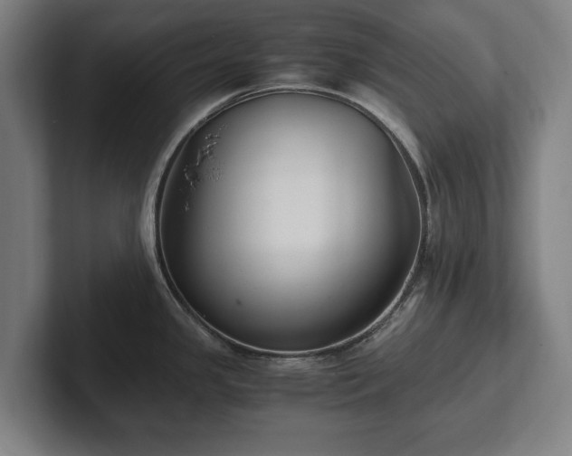X0000101991341200807251218