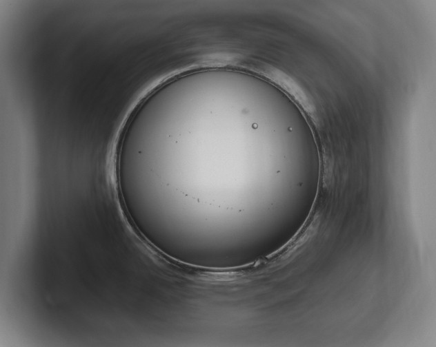 X0000101991342200807251218