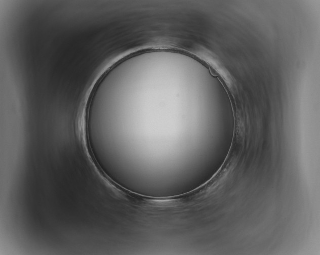 X0000101991343200807251218